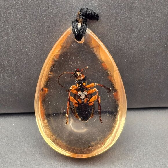 Lucite Pendant w/ Bombardier Beetle Acid-Squirting Insect Teardrop Shape 1.75" - Picture 3 of 7
